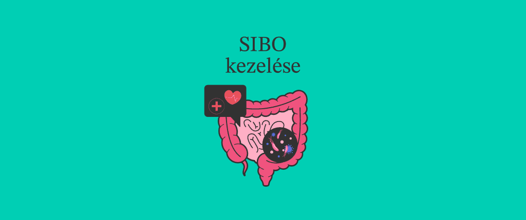 SIBO kezelése