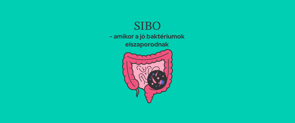 SIBO - amikor a jó baktériumaink túlszaporodnak